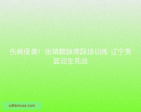 伤病侵袭！张镇麟缺席踩场训练 辽宁男篮迎生死战