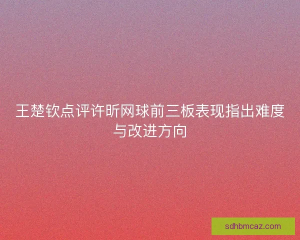 王楚钦点评许昕网球前三板表现指出难度与改进方向